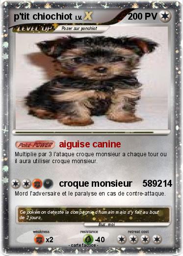 Pokemon p'tit chiochiot