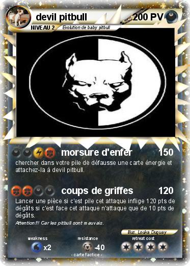 Pokemon devil pitbull
