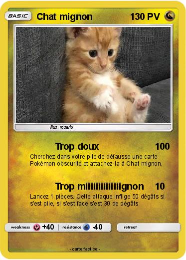 Pokemon Chat mignon