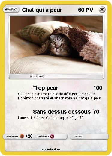 Pokemon Chat qui a peur