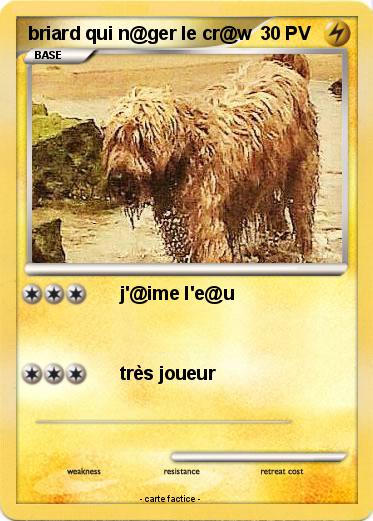 Pokemon briard qui n@ger le cr@w