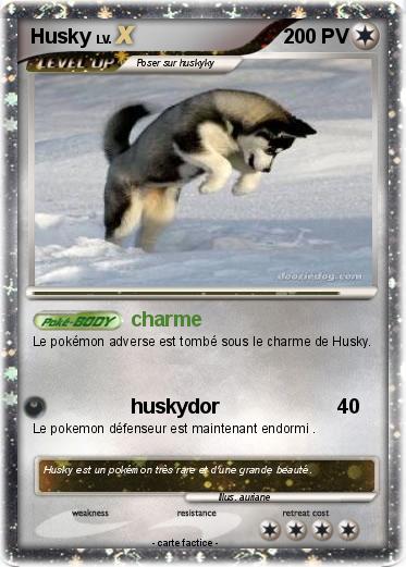 Pokemon Husky