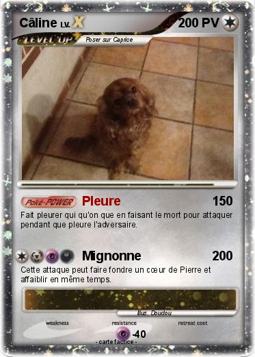 Pokemon Câline