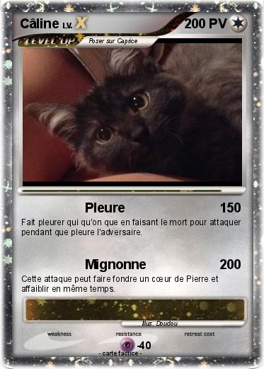 Pokemon Câline