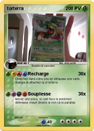 Pokemon torterra