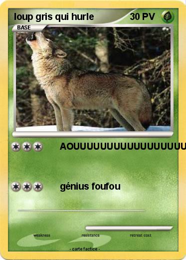 Pokemon loup gris qui hurle