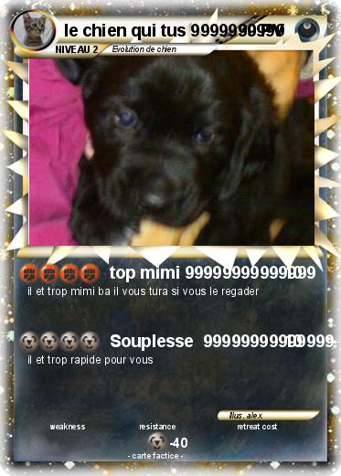 Pokemon le chien qui tus 9999999999