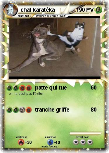 Pokemon chat karatéka