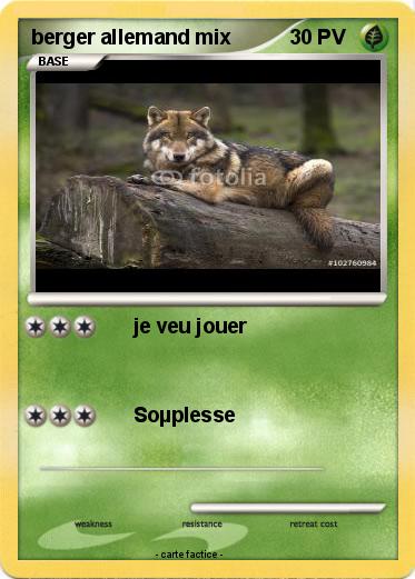 Pokemon berger allemand mix