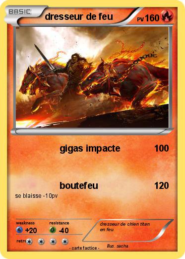 Pokemon dresseur de feu