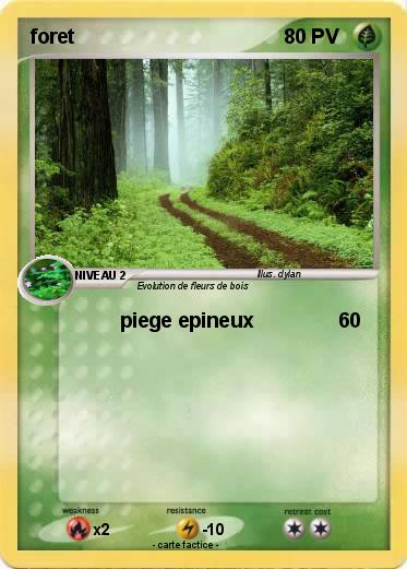 Pokemon foret