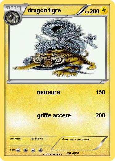 Pokemon dragon tigre