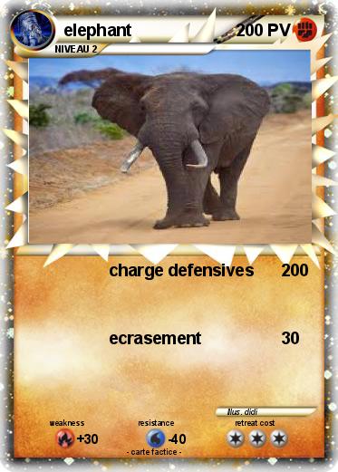 Pokemon elephant