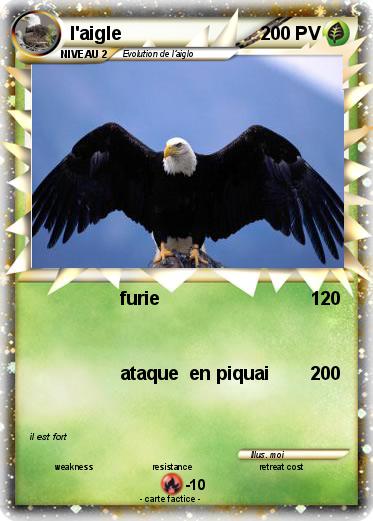 Pokemon l'aigle