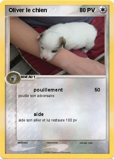 Pokemon Oliver le chien
