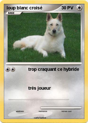 Pokemon loup blanc croisé