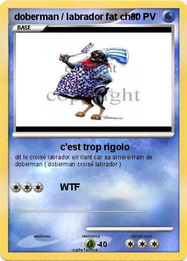 Pokemon doberman / labrador fat chef