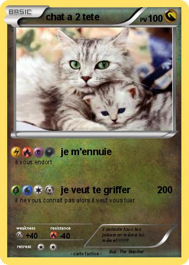 Pokemon chat a 2 tete