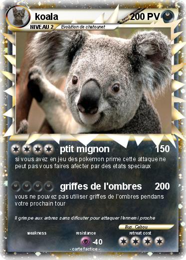 Pokemon koala