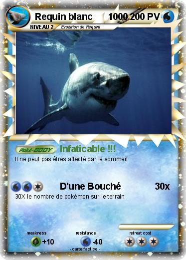 Pokemon Requin blanc      1000