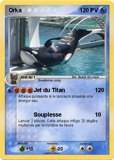 Pokemon Orka