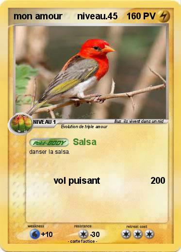 Pokemon mon amour      niveau.45