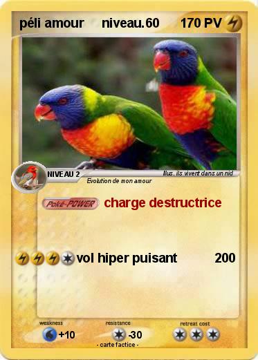Pokemon péli amour     niveau.60