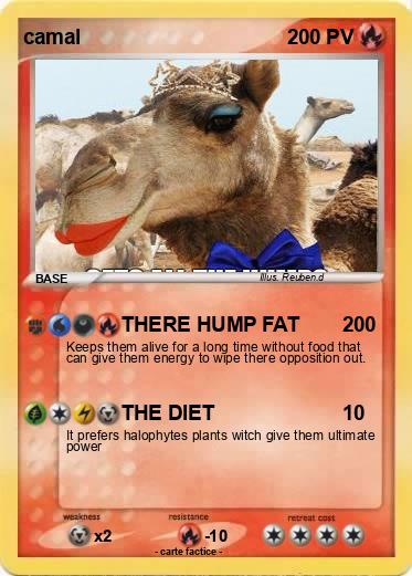 Pokemon camal