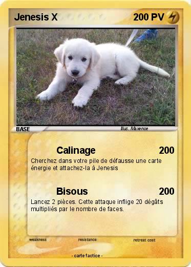 Pokemon Jenesis X