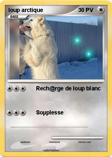Pokemon loup arctique