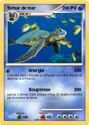 Pokemon Tortue de mer