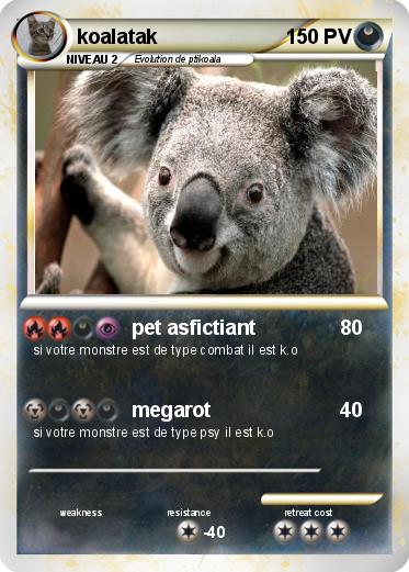 Pokemon koalatak