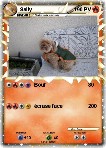 Pokemon Sally