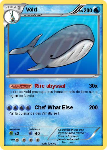 Pokemon Void