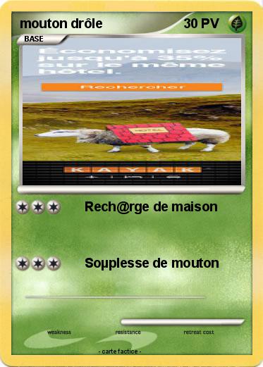 Pokemon mouton drôle