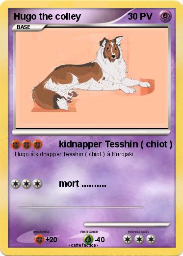 Pokemon Hugo the colley