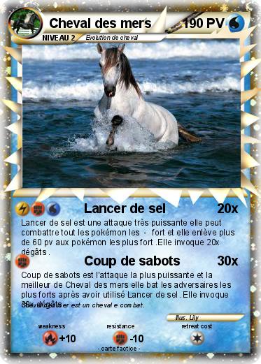 Pokemon Cheval des mers