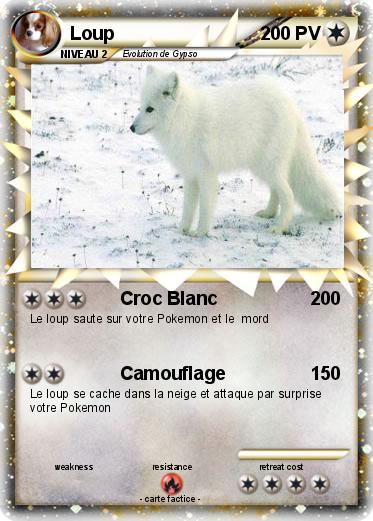 Pokemon Loup