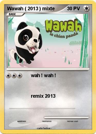 Pokemon Wawah ( 2013 ) mixte