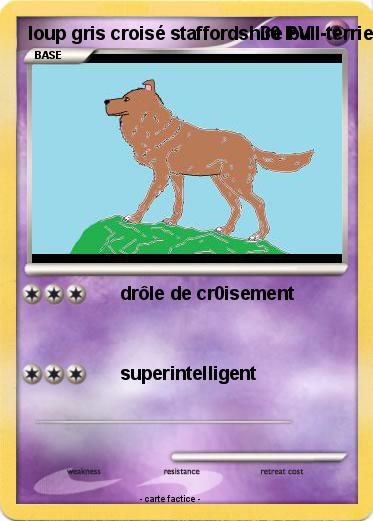Pokemon loup gris croisé staffordshire bull-terrier