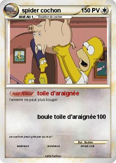 Pokemon spider cochon