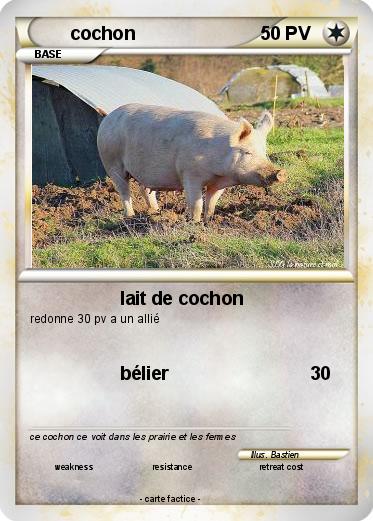 Pokemon cochon