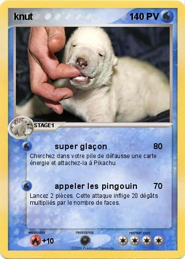 Pokemon knut