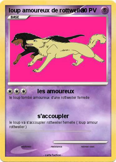 Pokemon loup amoureux de rottweiler