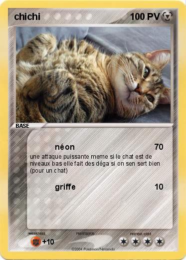 Pokemon chichi