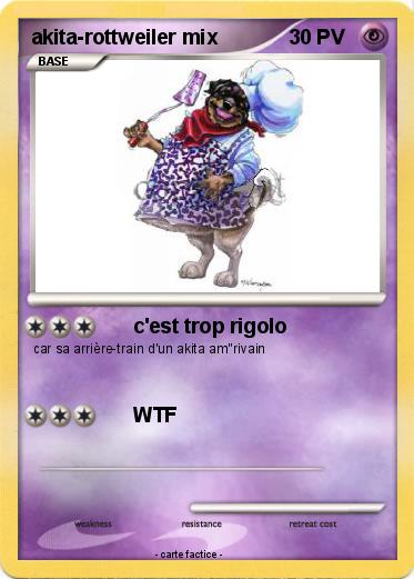 Pokemon akita-rottweiler mix