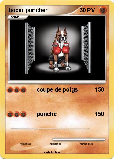 Pokemon boxer puncher