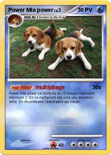 Pokemon Power Mia power