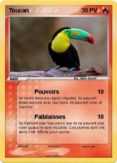 Pokemon Toucan