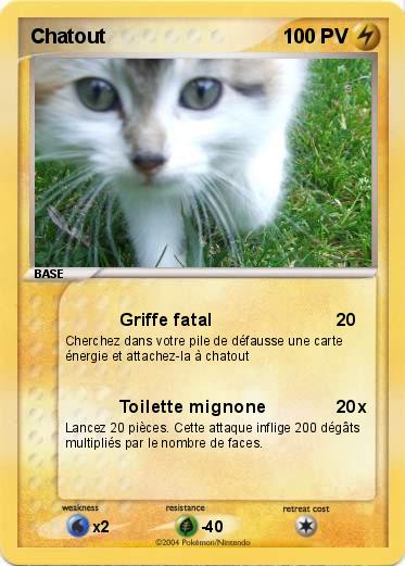 Pokemon Chatout